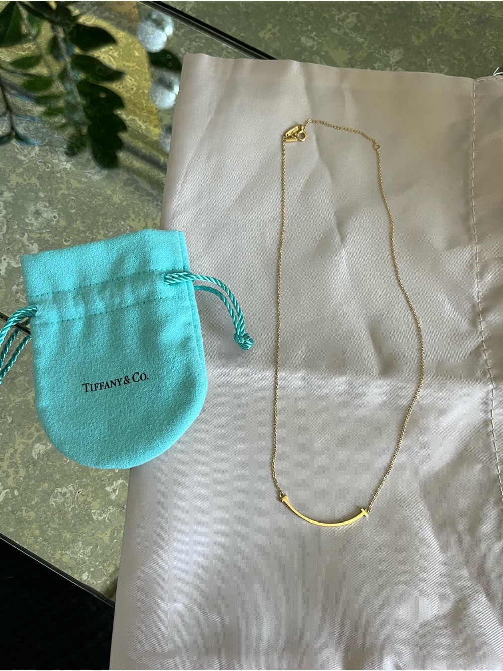 Tiffany & Co. Smile Necklace - Gold